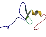 Nitric Oxide Synthase Interacting Protein (NOSIP)