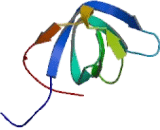 Nitric Oxide Synthase Trafficker (NOSTRIN)