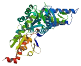 Nitrogen Fixation 1 Homolog (NFS1)