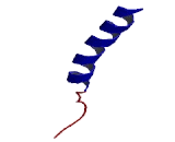 Nociceptin Receptor (NOCIR)