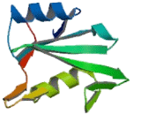 Non Catalytic Region Of Tyrosine Kinase Adaptor Protein 2 (NCK2)