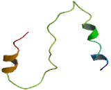 Non Imprinted In Prader Willi/Angelman Syndrome Region Protein 1 (NIPA1)