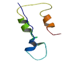 Non Imprinted In Prader Willi/Angelman Syndrome Region Protein 2 (NIPA2)