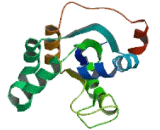 Non Metastatic Cells 1, Protein NM23A Expressed In (NME1)