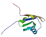 Non POU Domain Containing Octamer Binding Protein (NONO)