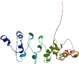 Non SMC Condensin II Complex Subunit D2 (NCAPD2)