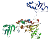 Non SMC Condensin II Complex Subunit H2 (NCAPH2)