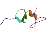 Non SMC Element 1 Homolog (NSMCE1)