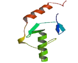 Non SMC Element 2 Homolog (NSMCE2)