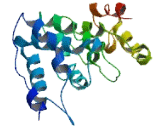 Non SMC Element 4 Homolog A (NSMCE4A)