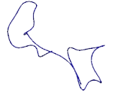 Non Specific Cytotoxic Cell Receptor Protein 1 (NCCRP1)