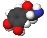 Noradrenaline (NE)