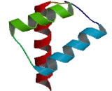 Notochord Homeobox Protein (NOTO)