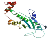 Notum Pectinacetylesterase Homolog (NOTUM)