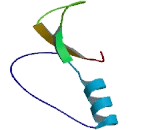 Nth Endonuclease III Like Protein 1 (NTHL1)