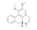 Nuciferine (NF)