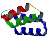 Nuclear Autoantigenic Sperm Protein, Histone Binding (NASP)