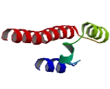 Nuclear Factor, Erythroid Derived 2, 45kDa (NFE2)