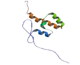 Nuclear Factor, Erythroid Derived 2 Like Protein 3 (NFE2L3)