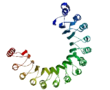 Nuclear Factor Of Kappa Light Polypeptide Gene Enhancer In B-Cells Inhibitor Like Protein 2 (NFkBIL2)