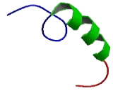 Nuclear Fragile X Mental Retardation Protein Interacting Protein 1 (NUFIP1)