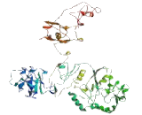 Nuclear Fragile X Mental Retardation Protein Interacting Protein 2 (NUFIP2)