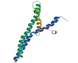 Nuclear Pore Complex Interacting Protein (NPIP)