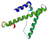 Nuclear Pore Complex Interacting Protein Like Protein 2 (NPIPL2)