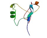 Nuclear Protein Localization Protein 4 (NPLOC4)