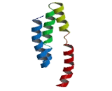 Nuclear Receptor Binding Factor 2 (NRBF2)