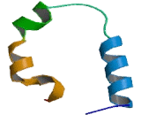 Nuclear Receptor Coactivator 2 (NCOA2)