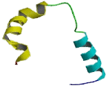 Nuclear Receptor Coactivator 3 (NCOA3)