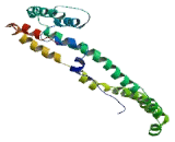 Nuclear Receptor Coactivator 4 (NCOA4)