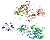 Nuclear Receptor Coactivator 6 (NCOA6)