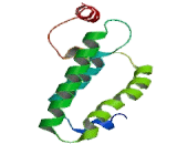 Nuclear Receptor Subfamily 0, Group B, Member 1 (NR0B1)