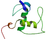 Nuclear Receptor Subfamily 2, Group E, Member 1 (NR2E1)