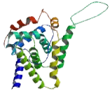 Nuclear Receptor Subfamily 2, Group F, Member 1 (NR2F1)