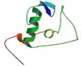 Nuclear Receptor Subfamily 2, Group F, Member 6 (NR2F6)