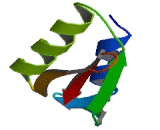 Nuclear Transcription Factor, X-Box Binding Protein 1 (NFX1)