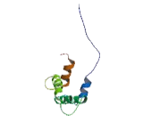 Nucleobindin 2 (NUCB2)