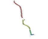 Nucleolar Complex Associated 3 Homolog (NOC3L)