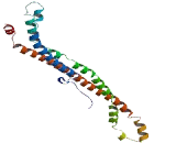 Nucleolar Protein 10 (NOL10)