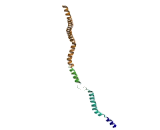 Nucleolar Protein 11 (NOL11)