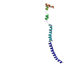 Nucleolar Protein With MIF4G Domain 1 (NOM1)