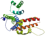 Nucleolar protein 58 (NOP58)