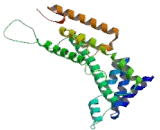 Nucleoporin 107kDa (NUP107)