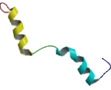 Nucleoporin 93kDa (NUP93)