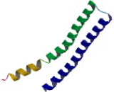 Nucleoporin Like Protein 1 (NUPL1)