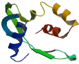 Nucleoside Diphosphate Linked Moiety X-Type Motif 10 (NUDT10)