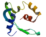 Nucleoside Diphosphate Linked Moiety X-Type Motif 11 (NUDT11)